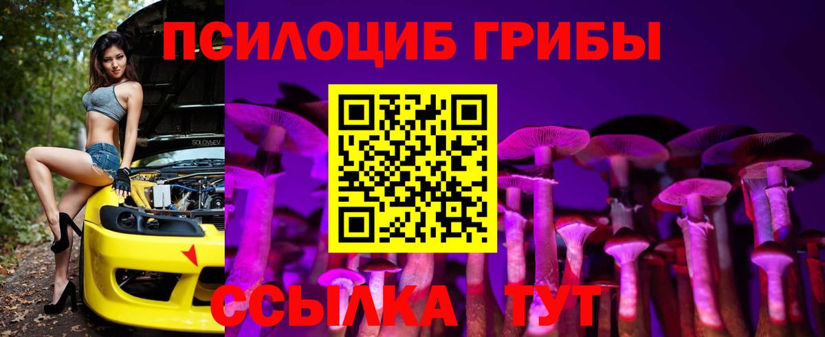Галлюциногенные грибы Cubensis Майкоп