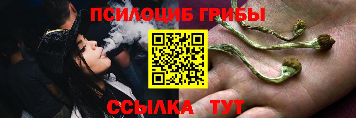 купить наркотик  Псилоцибиновые грибы Psilocybe  Псилоцибиновые грибы MAGIC MUSHROOMS  Вход с VPN  Майкоп 